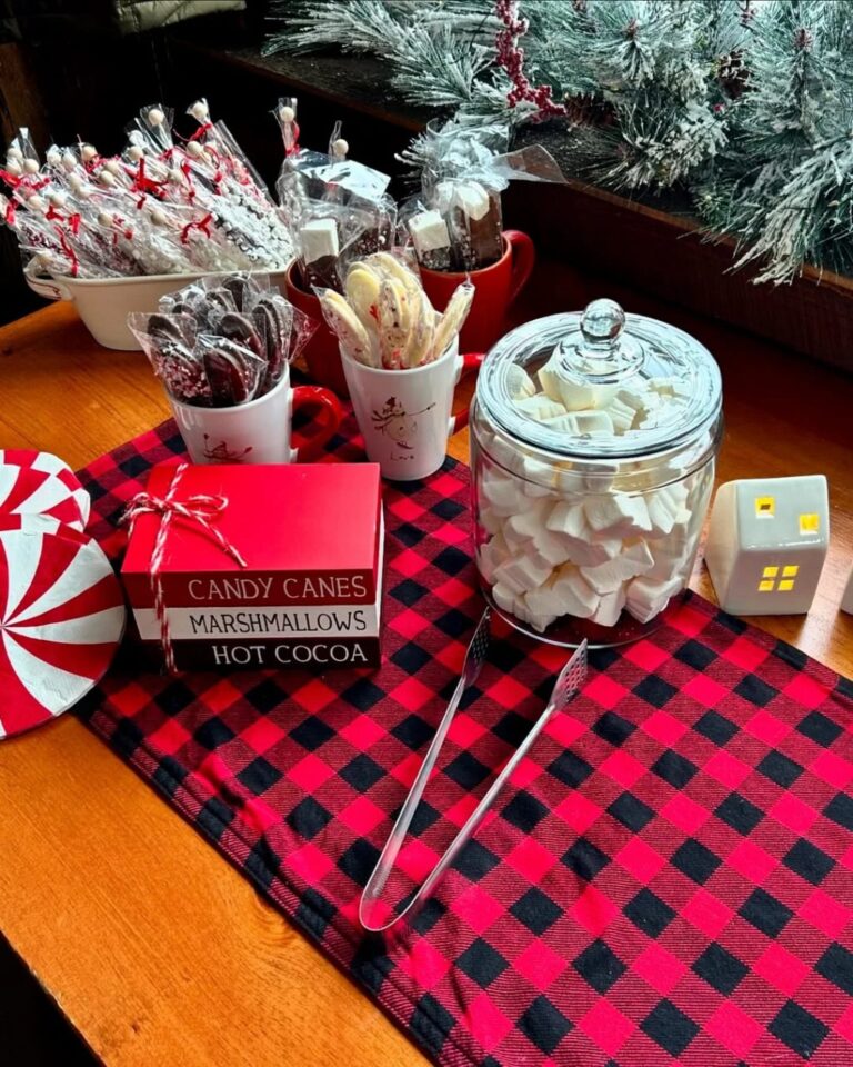 25+ Santa Baby Baby Shower Theme Ideas for a Magical Holiday Celebration