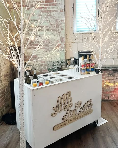 Outdoor Snowflake Backdrop
