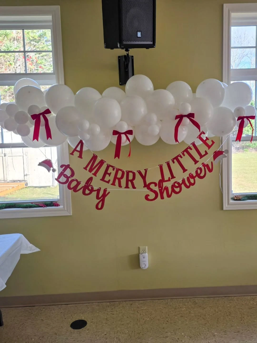 Festive plaid banquet table for a merry little baby shower