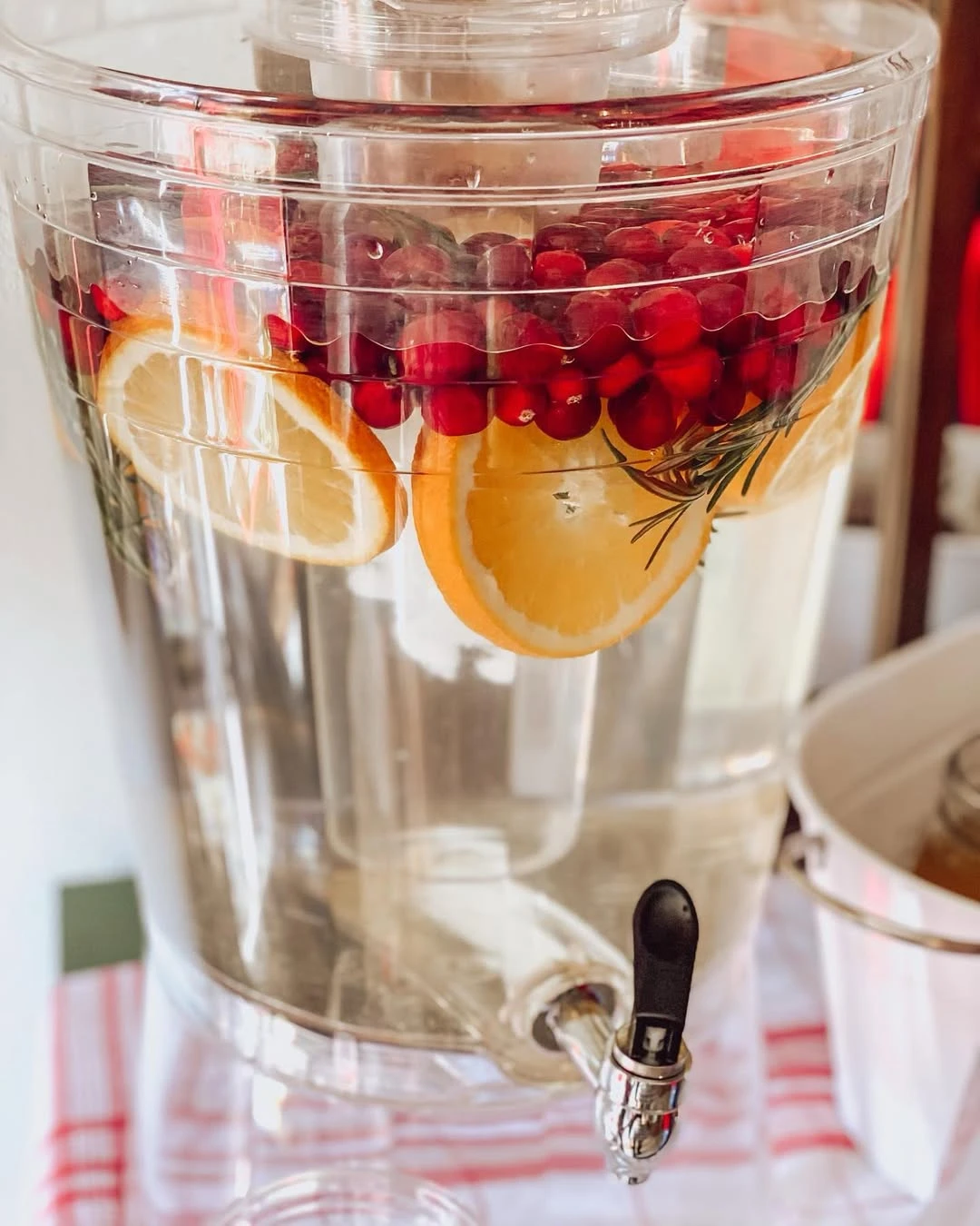 Cranberry citrus infused water