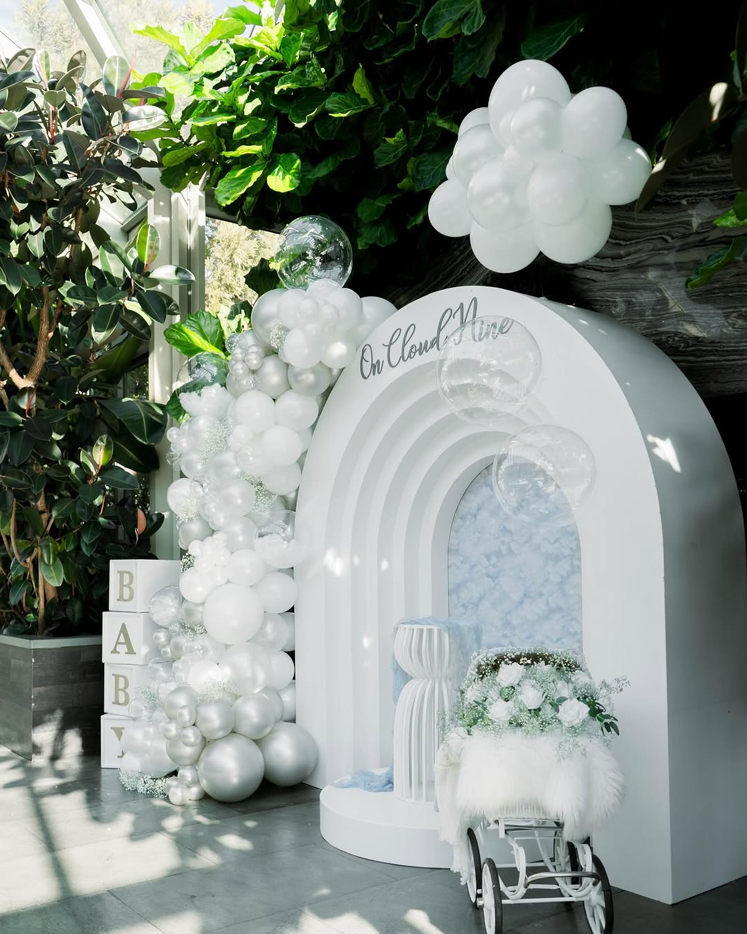 On Cloud Nine Photo Backdrop
