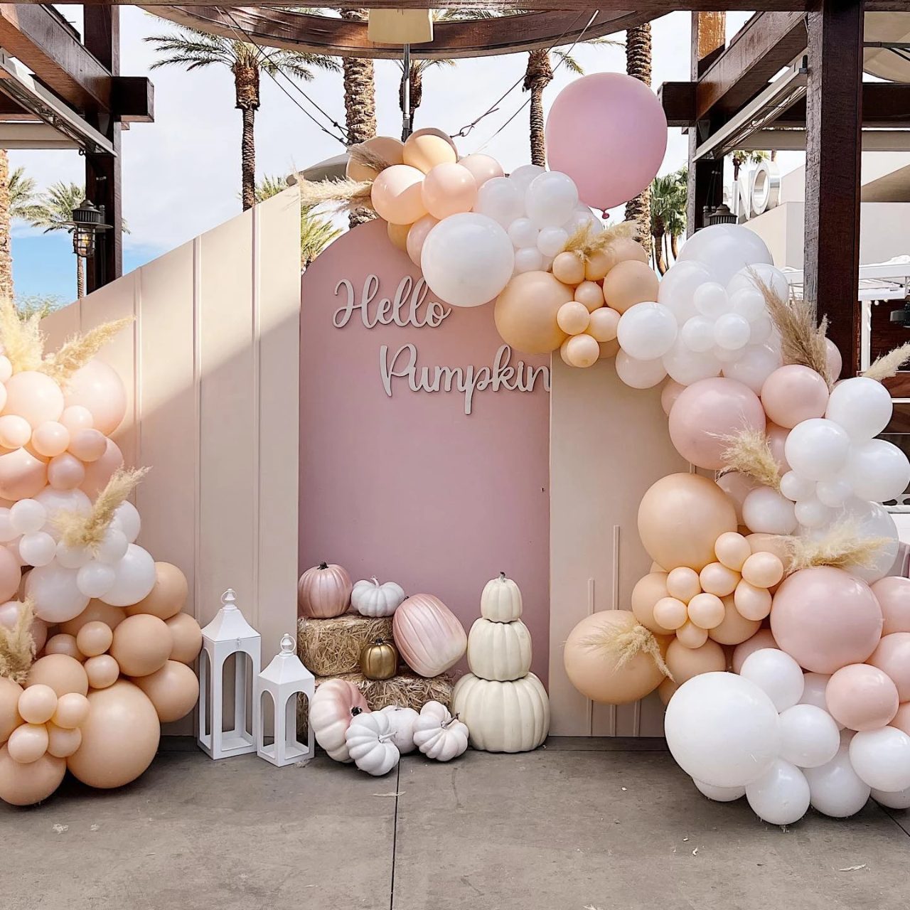 Outdoor Blush Backdrop Panel