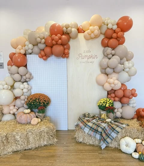 Rustic Farm Backdrop Area