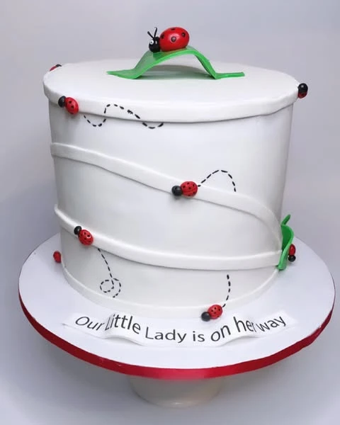 Minimalist Ladybug Trail Cake