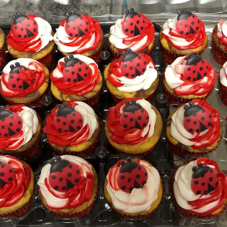 21+ Ladybug Baby Shower Food Ideas for Your Little Love Bug