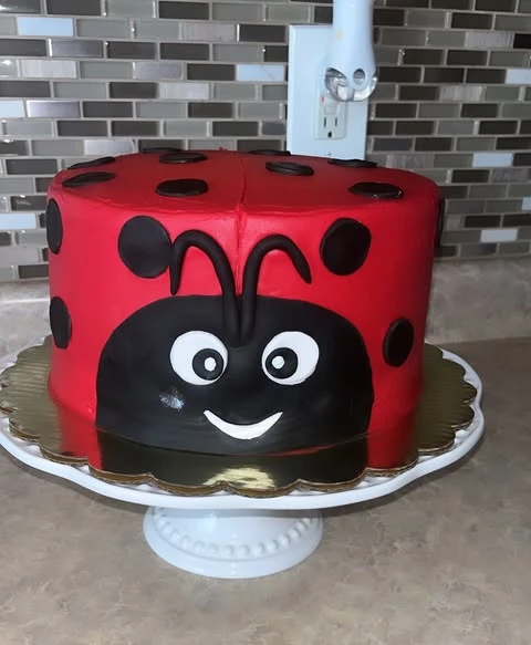 Single Tier Smiling Ladybug Cake