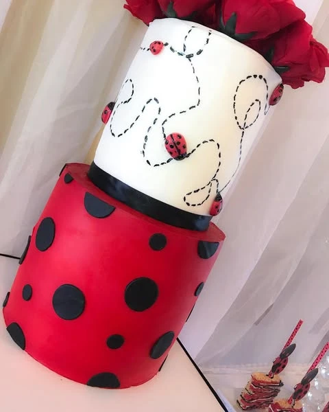 Rose Topped Ladybug Cake