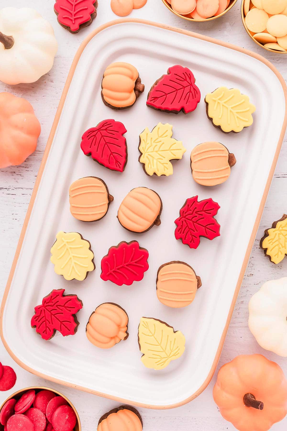 Fall Leaf and Pumpkin Decorated Chocolate Cookies