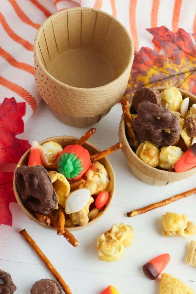 Autumn Harvest Snack Cups